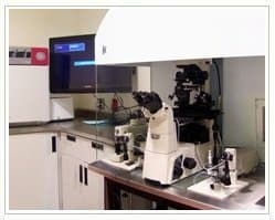 Slider image (10) InteraFertility | Assisted Reproduction